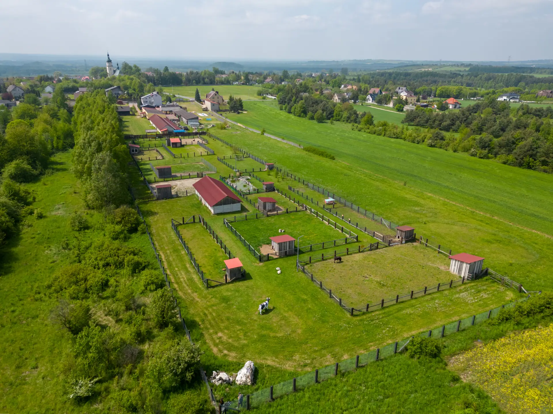 Agroskałka Jura Krakowsko-Częstochowska